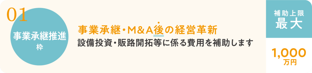 事業承継推進枠（最大1,000万円）